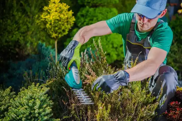 landscaping services Lake Milton